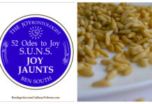 52 ODES TO JOY: S.U.N.S. JOY JAUNTS