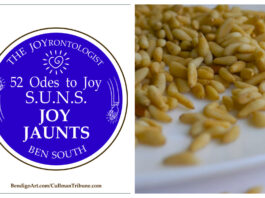 52 ODES TO JOY: S.U.N.S. JOY JAUNTS
