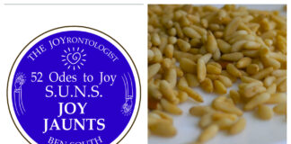 52 ODES TO JOY: S.U.N.S. JOY JAUNTS