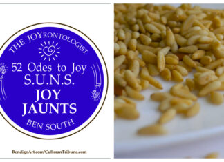 52 ODES TO JOY: S.U.N.S. JOY JAUNTS