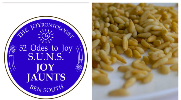 52 ODES TO JOY: S.U.N.S. JOY JAUNTS