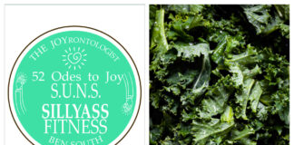 52 ODES TO JOY: S.U.N.S. SILLYASS FITNESS