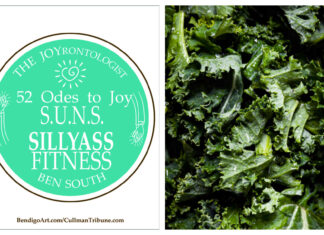 52 ODES TO JOY: S.U.N.S. SILLYASS FITNESS