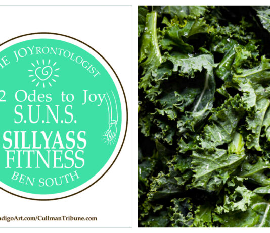 52 ODES TO JOY: S.U.N.S. SILLYASS FITNESS