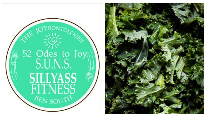 52 ODES TO JOY: S.U.N.S. SILLYASS FITNESS