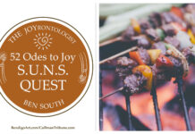52 ODES TO JOY: S.U.N.S. QUEST