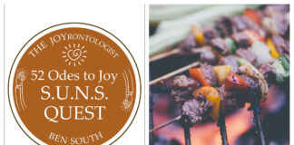 52 ODES TO JOY: S.U.N.S. QUEST