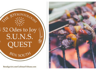 52 ODES TO JOY: S.U.N.S. QUEST