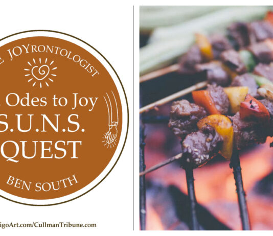 52 ODES TO JOY: S.U.N.S. QUEST