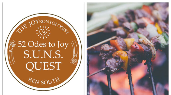 52 ODES TO JOY: S.U.N.S. QUEST