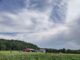 Beginning farmers invited to tour J. Calvert Farms