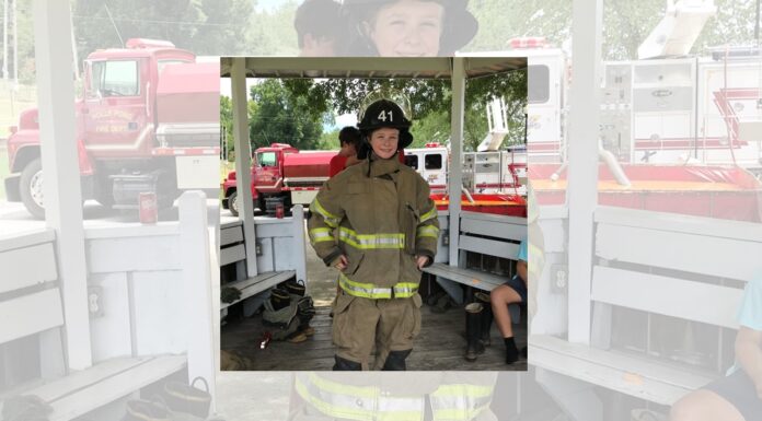 Firefighters host day in the park