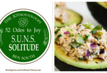 52 ODES TO JOY: S.U.N.S. SOLITUDE