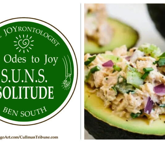 52 ODES TO JOY: S.U.N.S. SOLITUDE