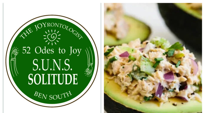 52 ODES TO JOY: S.U.N.S. SOLITUDE