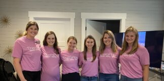 Connect Cullman County brings local therapeutic resources together