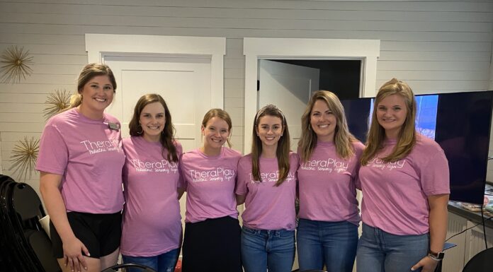 Connect Cullman County brings local therapeutic resources together