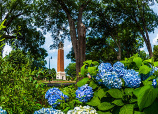 Holly Pond’s Garrett named to UA Dean’s List for summer term