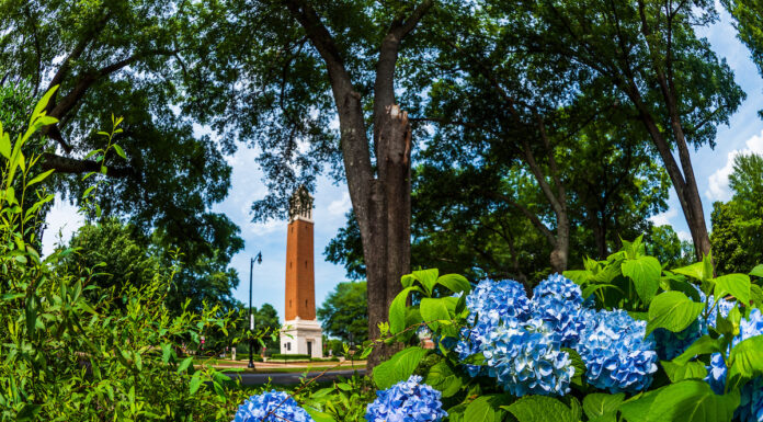 Holly Pond’s Garrett named to UA Dean’s List for summer term