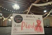 Little Pink Dress benefit slated for Oct. 4