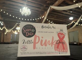 Little Pink Dress benefit slated for Oct. 4
