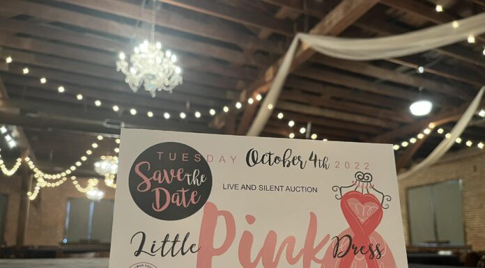 Little Pink Dress benefit slated for Oct. 4
