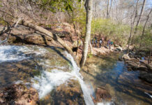 Free admission to AL State Parks Sept. 24