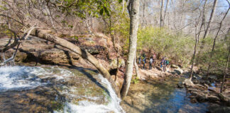 Free admission to AL State Parks Sept. 24