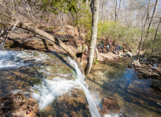 Free admission to AL State Parks Sept. 24