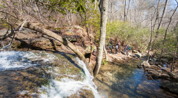 Free admission to AL State Parks Sept. 24