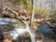 Free admission to AL State Parks Sept. 24