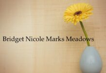 Obituary: Bridget Nicole Marks Meadows