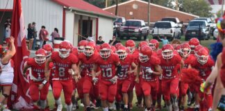 PREP FOOTBALL: Vinemont hammers Brindlee Mountain on the road 47-6