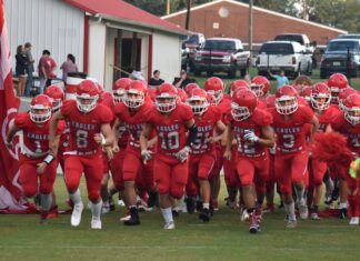 PREP FOOTBALL: Vinemont hammers Brindlee Mountain on the road 47-6