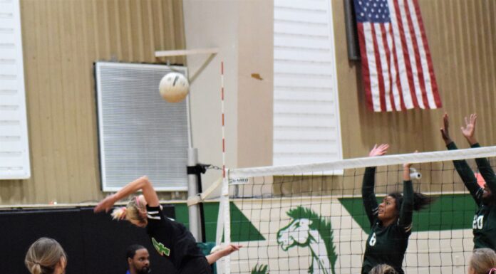 PREP VOLLEYBALL: Holly Pond sweeps Vinemont, Locust Fork at home