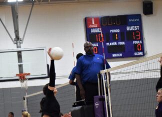 PREP VOLLEYBALL: Lady Raiders down Fairview on the road