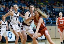 ‘I’ve loved growing with this group of girls’: Vinemont’s Carley Stephens preparing for upcoming season