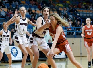 ‘I’ve loved growing with this group of girls’: Vinemont’s Carley Stephens preparing for upcoming season