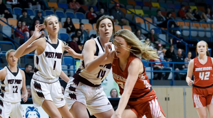 ‘I’ve loved growing with this group of girls’: Vinemont’s Carley Stephens preparing for upcoming season