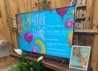 ‘It’s Good to Be Back Home’