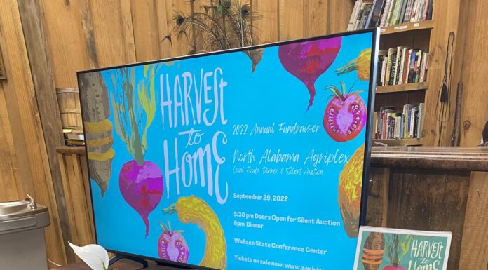 ‘It’s Good to Be Back Home’