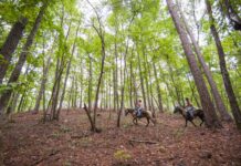 Governor Ivey Awards $1.64 Million to Enhance Outdoor Recreation in Alabama
