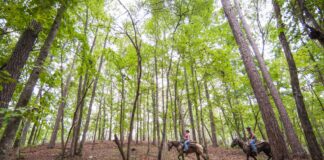 Governor Ivey Awards $1.64 Million to Enhance Outdoor Recreation in Alabama