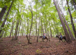 Governor Ivey Awards $1.64 Million to Enhance Outdoor Recreation in Alabama