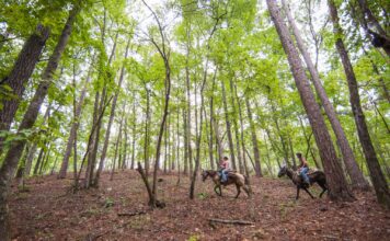 Governor Ivey Awards $1.64 Million to Enhance Outdoor Recreation in Alabama