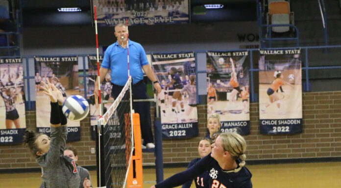 Wallace State Volleyball sweeps home openers