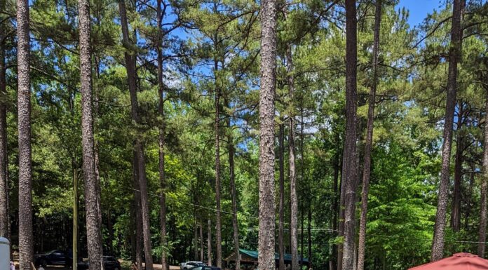 Sportsman Lake Park fall yard sale set for Sept. 17