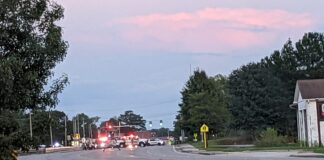 Pedestrian hit by vehicle on Hwy. 278 W