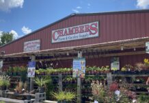 Chambers Fall Festival Sept. 17