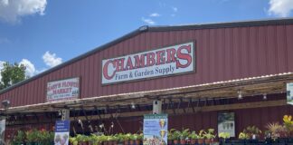 Chambers Fall Festival Sept. 17